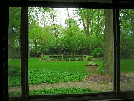 Living Room View