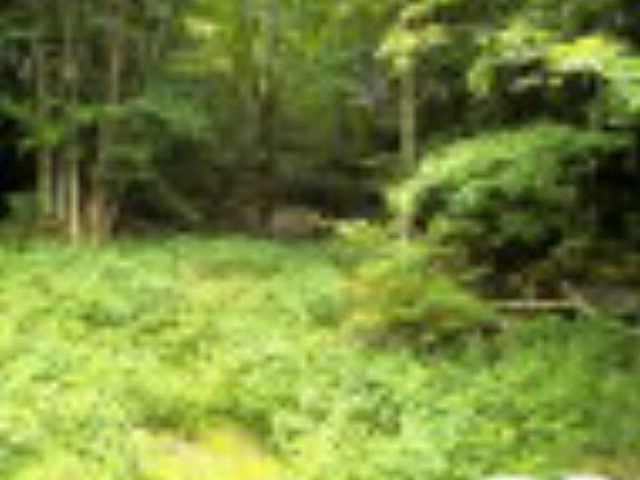 1st image of 138 W Blueberry Ln