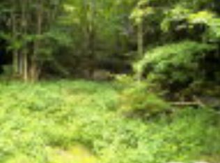 138 W Blueberry Ln, Banner Elk, NC 28604