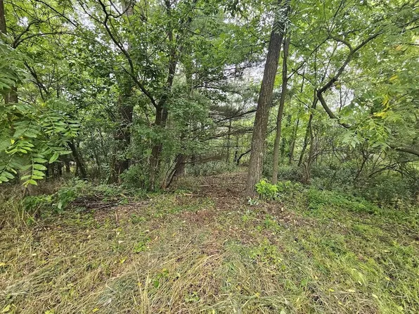 High Rd #40, Wild Rose, WI 54984