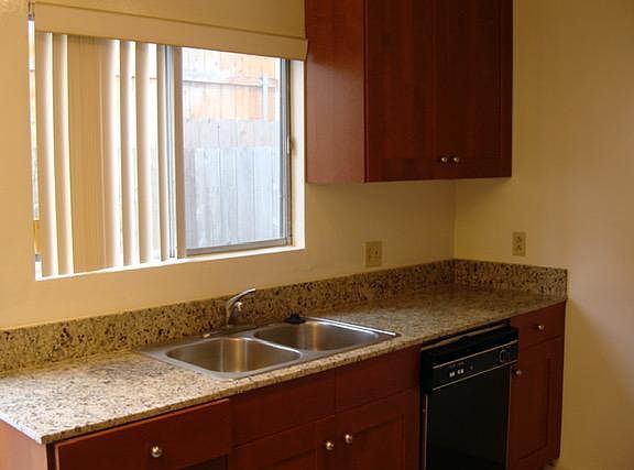 Kitchen west wall sink and dishwasher