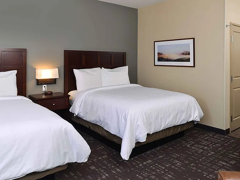 Studio Suite - 2 Queen Beds