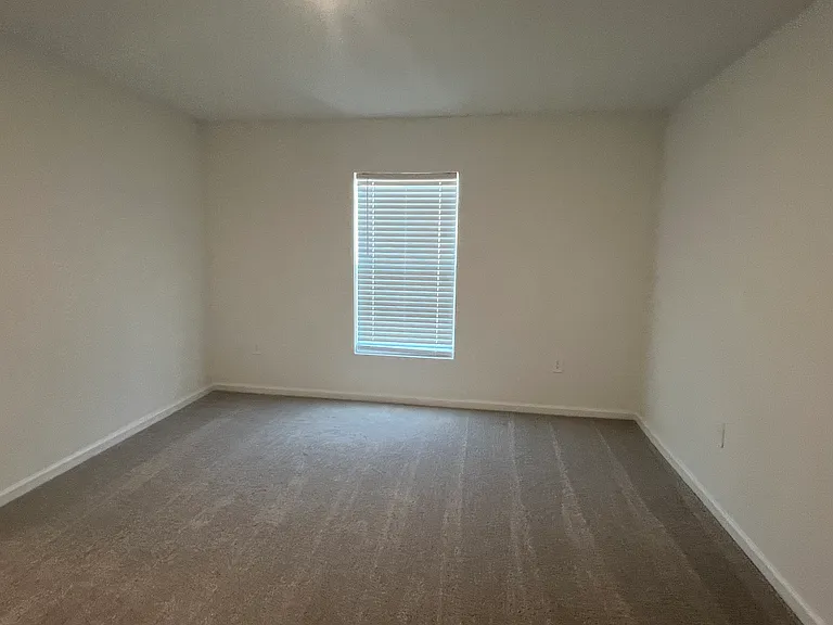 359 Artemis St — Photo 26
