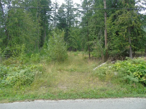 Vickers Trl, Columbia Shuswap, BC V0E 1M8