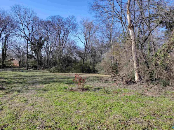 16 Cain St, Madison, AL 35758