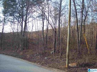 1 Dripping Rock Rd #1, Jacksonville, AL 36265