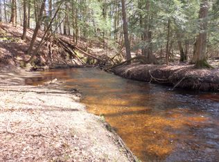 Johnson Rd, Kaleva, MI 49645