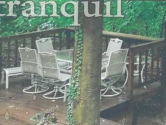 Back yard