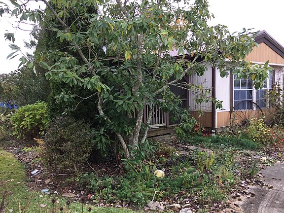 3rd image of 124 Winburn Dr