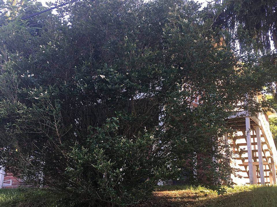 2nd image of 1220 Capitol Ave #A-k-188