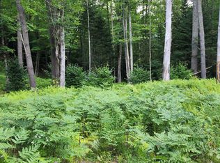 478 Valley Lake Rd, Woodbury, VT 05681