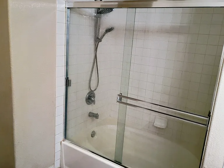 Master Bedroom Shower