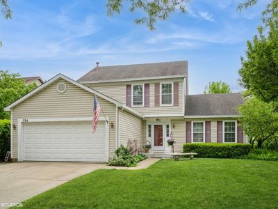 524 Crown Point Dr, Buffalo Grove, IL, 60089