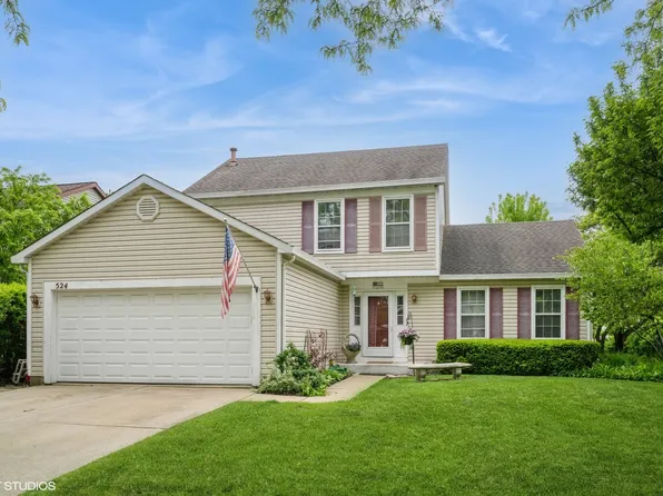 524 Crown Point Dr, Buffalo Grove, IL 60089