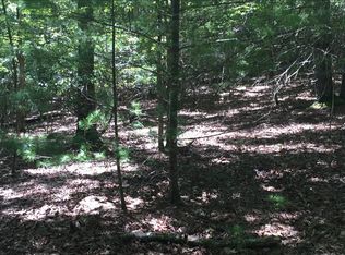 20 Burgess Gap Rd, Morganton, GA 30560