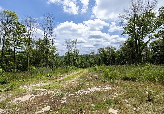 3rd image of 0 Goose Branch Rd