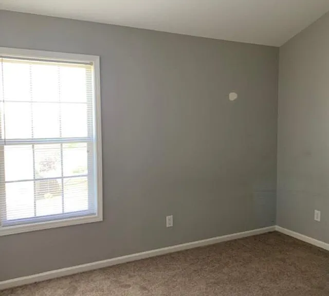 3212 Sweet Clover Ln — Photo 13