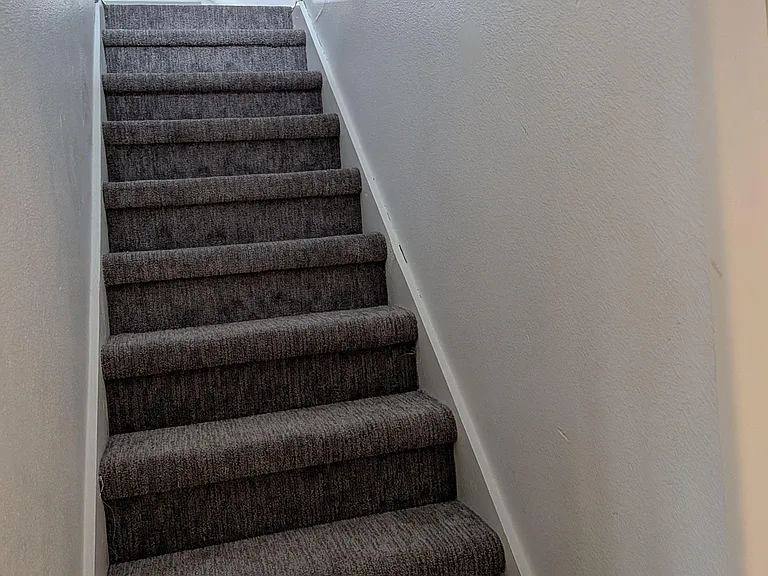 Carpeted stairwell with sturdy handrail, connecting levels with a clean, simple layout for easy daily access.