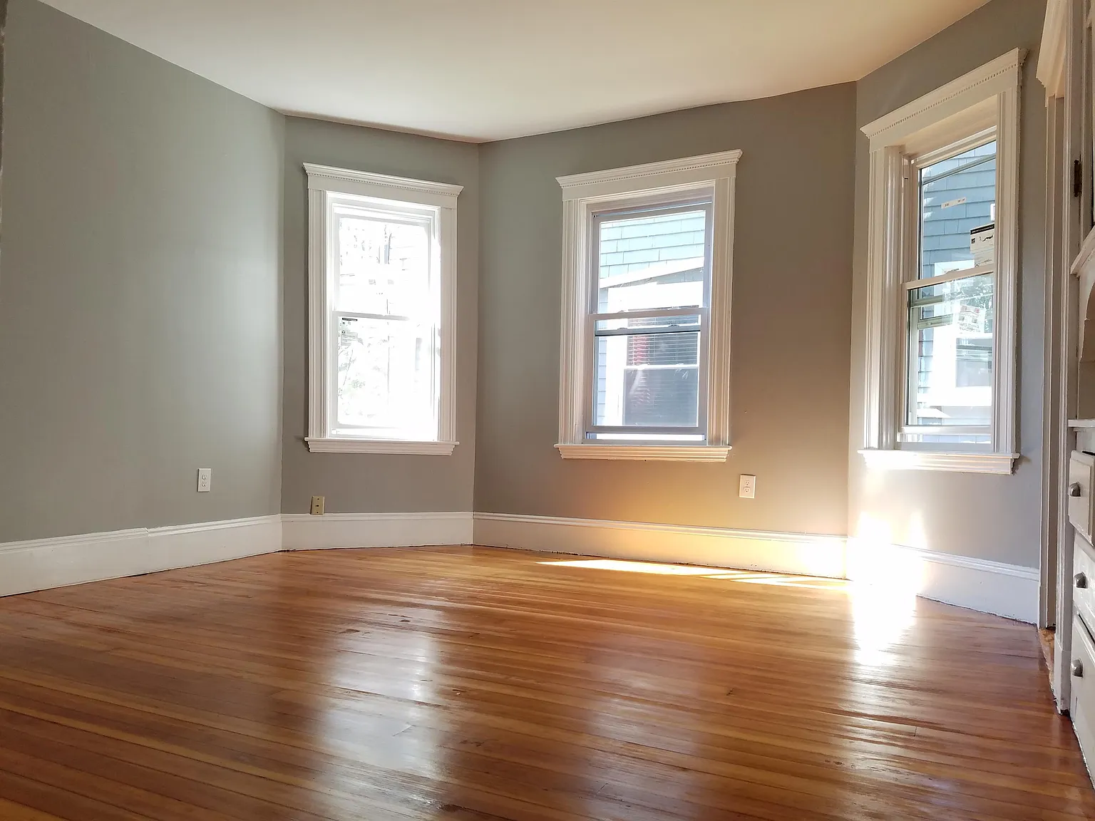 98 Topliff Street - 1 (Room 2) — Photo 4