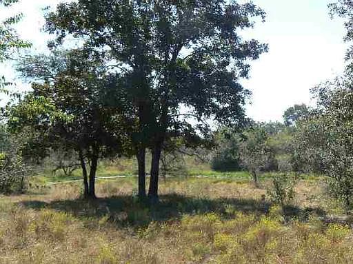 1st image of 12171 F M RD 539