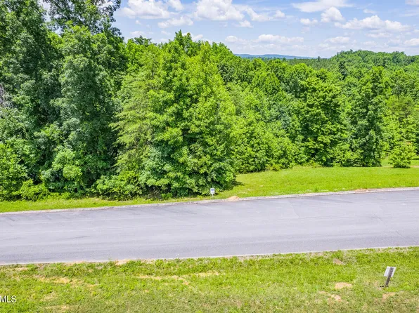 481 Hidden Forest Trl, Spring City, TN 37381