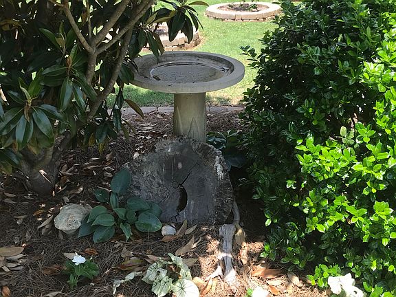Frontyard Birdbath