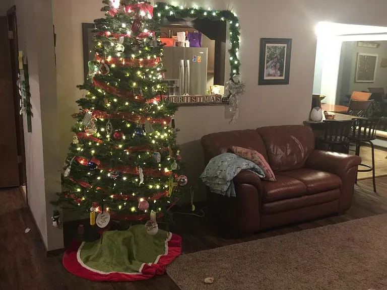 Living area decorated for christmas