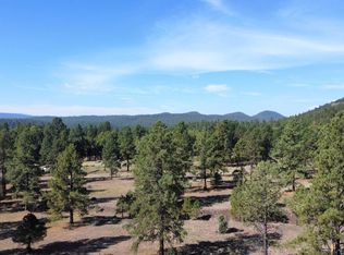 17 Simms Ave, Luna, NM 87824