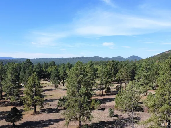 17 Simms Ave, Luna, NM 87824