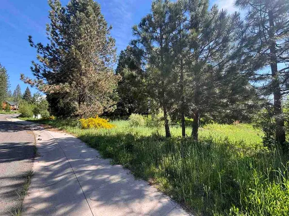 LOT 49 Old Mill Rd, McCloud, CA 96057