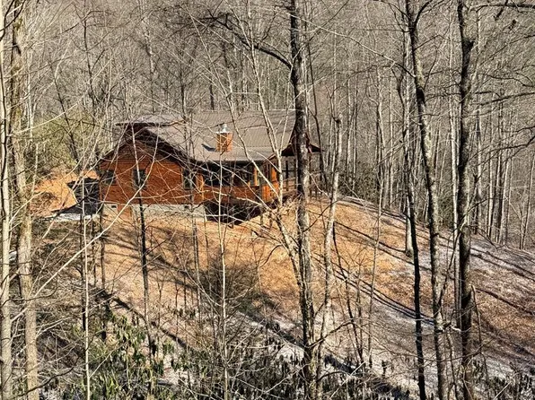 308 Black Bear Trl, Topton, NC 28781