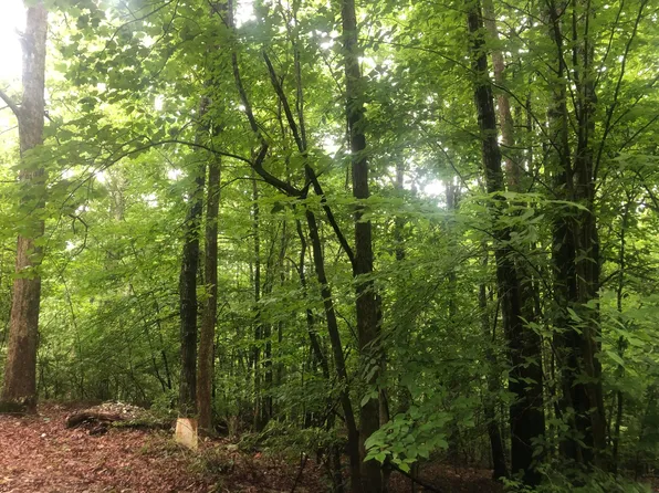 LOT 64/65 Elm Ave, Nancy, KY 42544