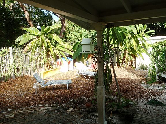 Left side of back yard