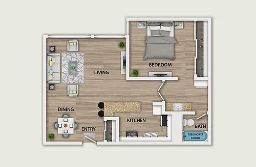 Floor plan 1 Bed 1 Bath