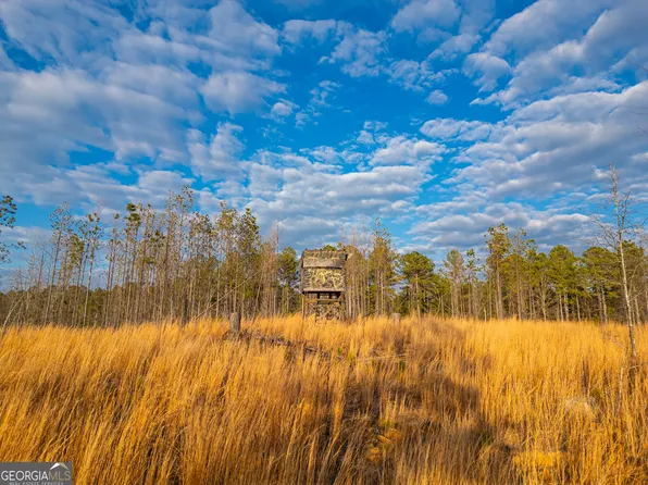 0 Smith Rocky Branch Rd, Carlton, GA 30627