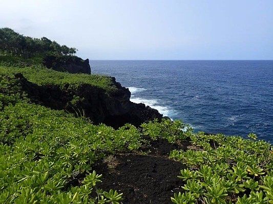 5th image of 15-119 Puni Lapa St E Lot 1937