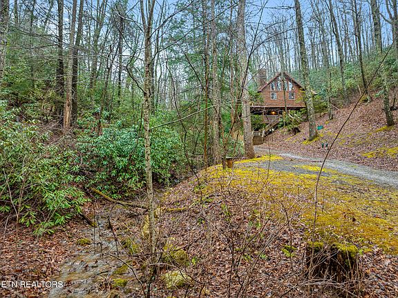 3rd image of 3824 Bear Camp Way