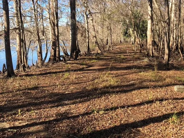  311th Ave, Old Town, FL 32680