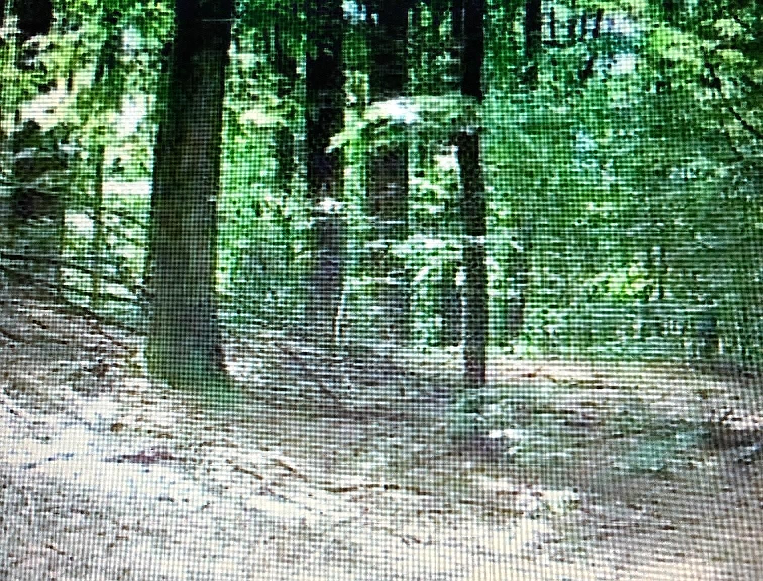 00 Falls Brook Road, Dummerston, VT 05301 MLS 4953653 Zillow