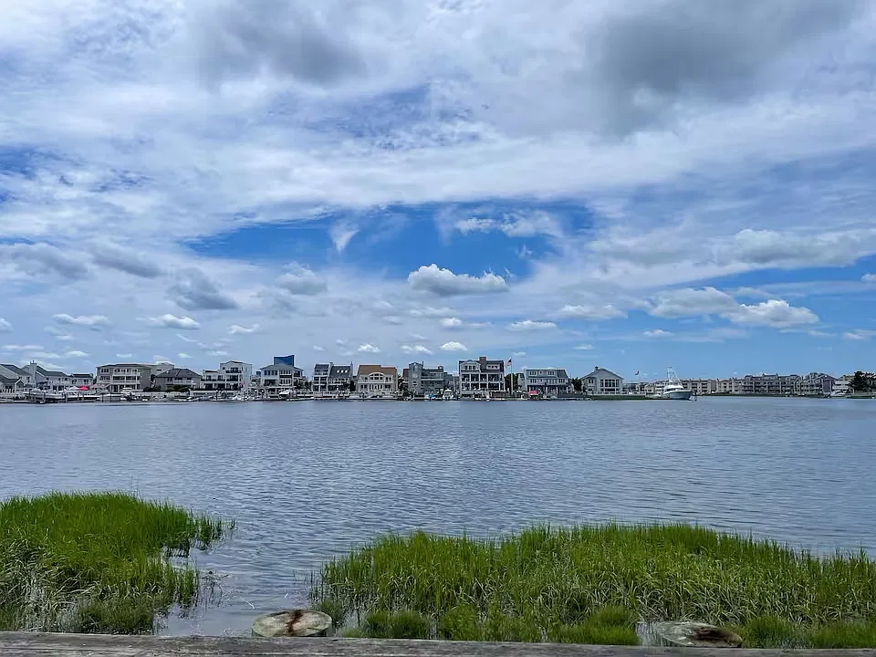4 bed, 2000 sqft, $3,600 — Photo 3