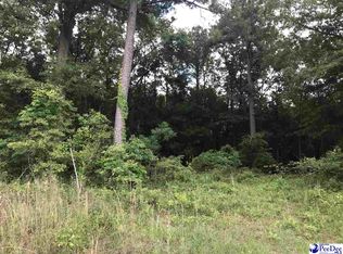 3680 Winlark Dr, Darlington, SC 29540