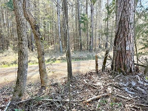 4th image of James Stanley Turnaround Rd