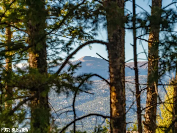 Lot 35 El Camino Real, Angel Fire, NM 87710-8047