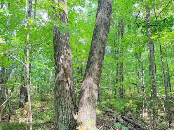Lot 4 County Highway X, Glen Flora, WI 54526