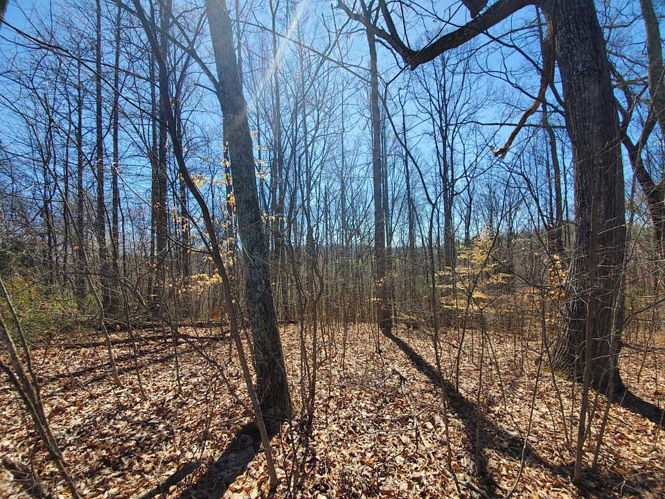 2nd image of Wood View Ct
