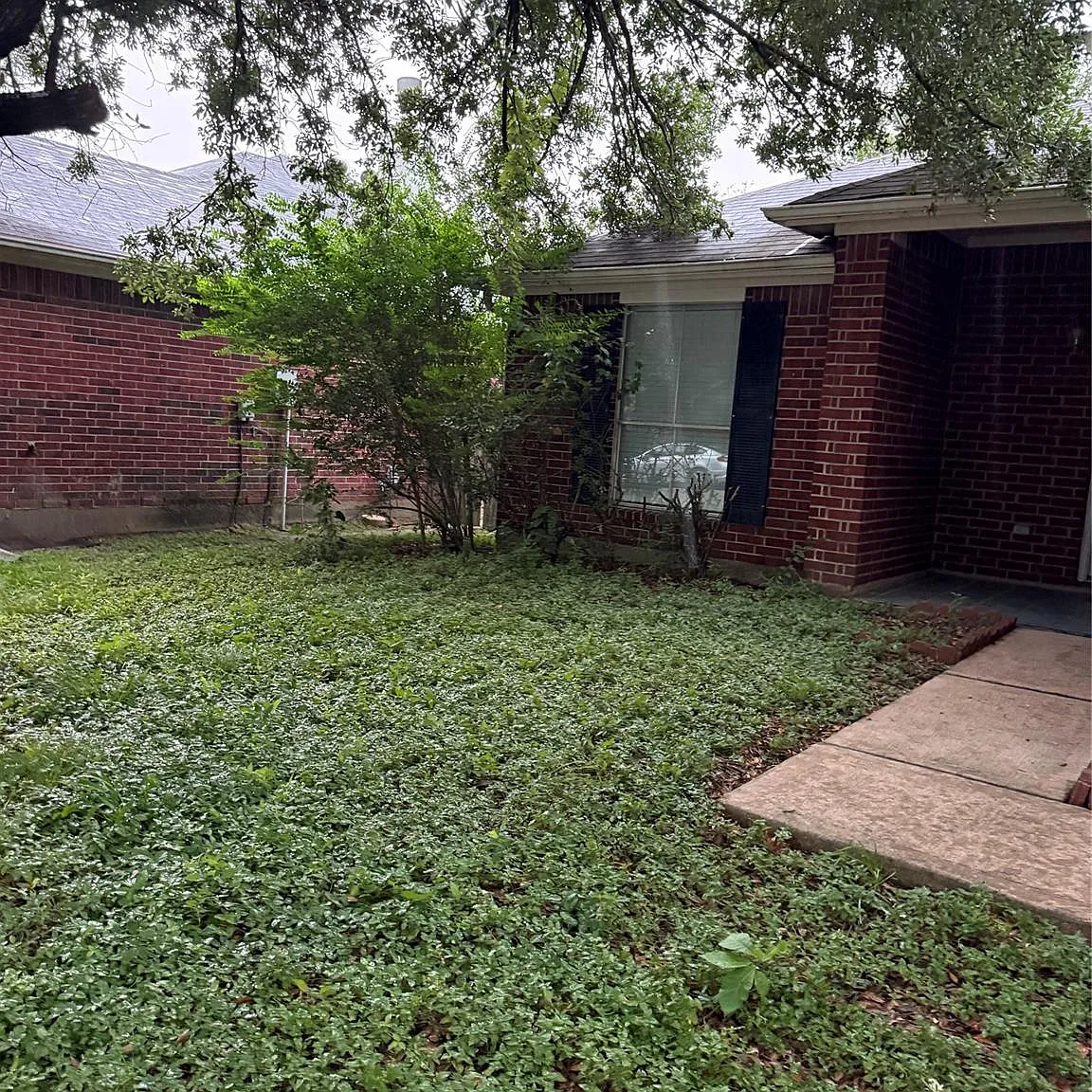 3 bed, 2.0 bath, 1655 sqft, $1,795 — Photo 4