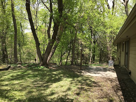 Backyard, patio, woods 