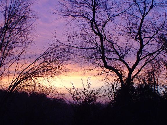 Sunrise from the back pasture