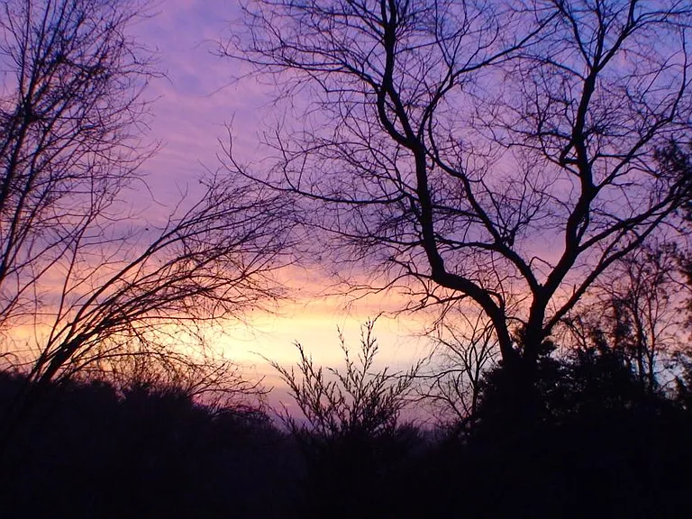 Sunrise from the back pasture