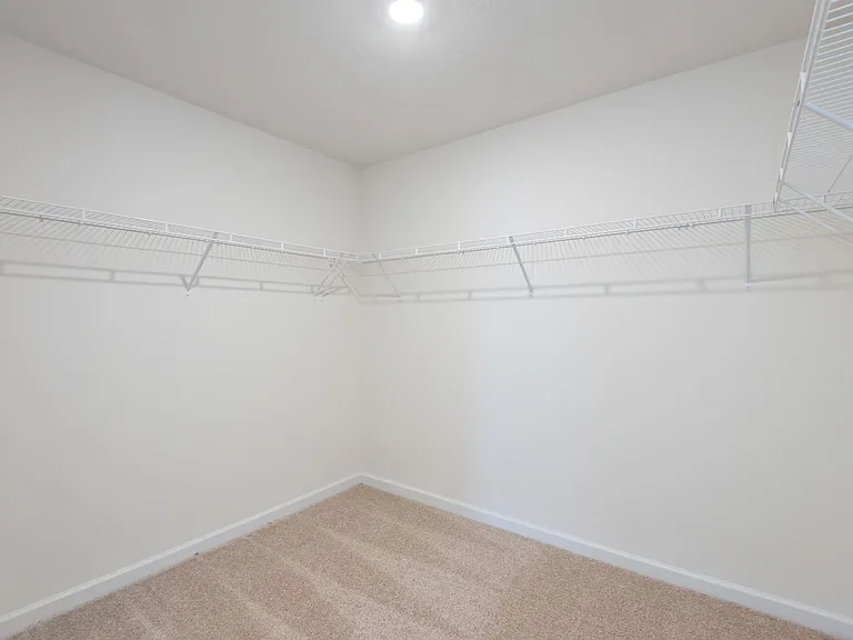 5513 English Holly Way — Photo 31